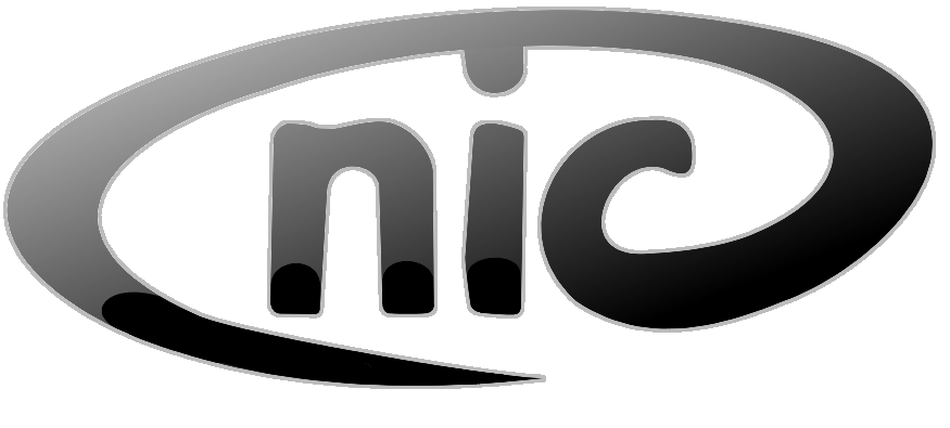 3D OpenNIC logo